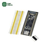 هدر برد (برد توسعه)  BLACK PILL بر پایه تراشه STM32F411CEU6 با پورت TYPE-C